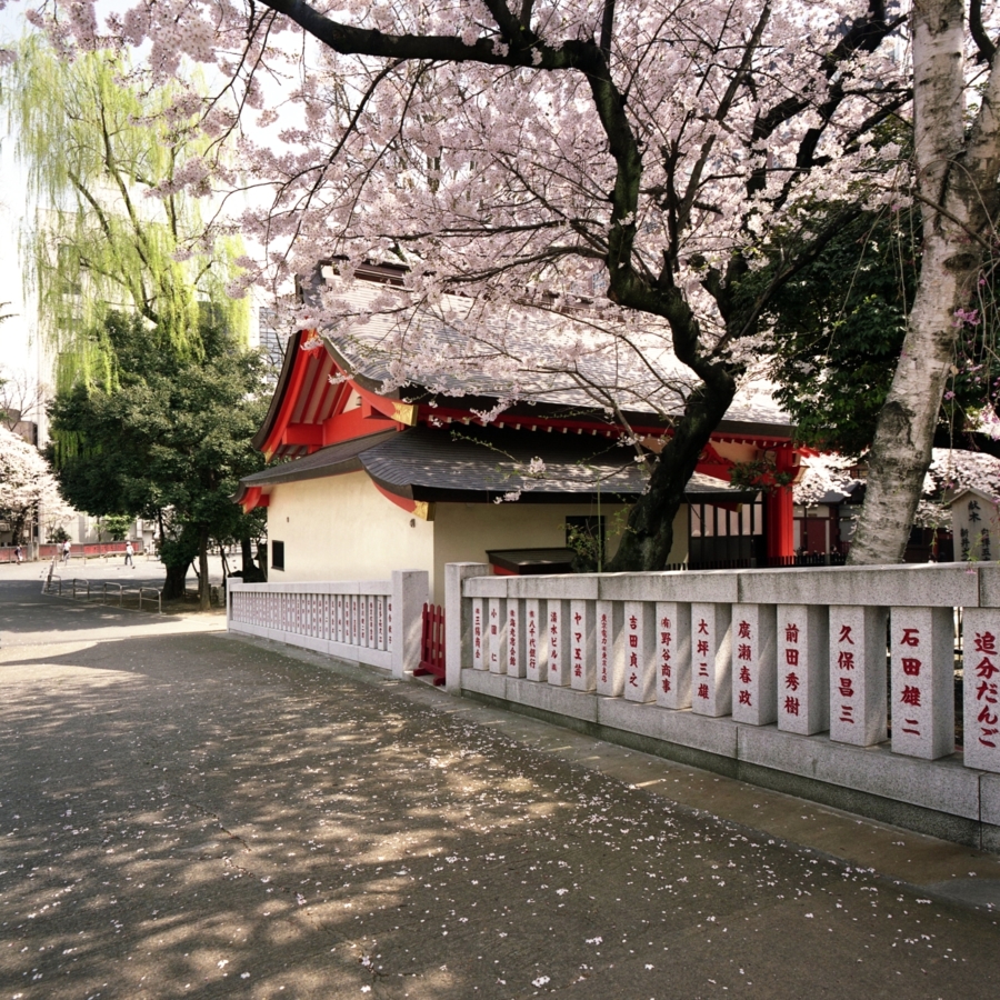 花園神社の桜