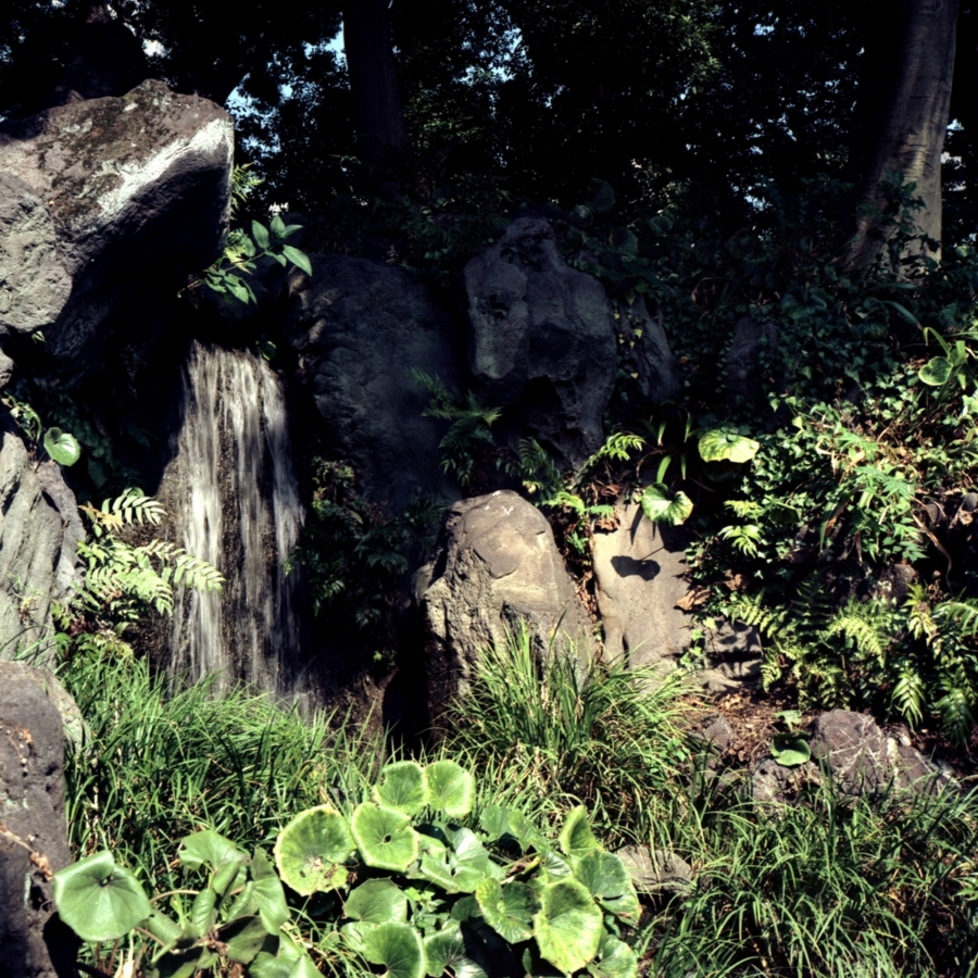 皇居 二の丸庭園 滝