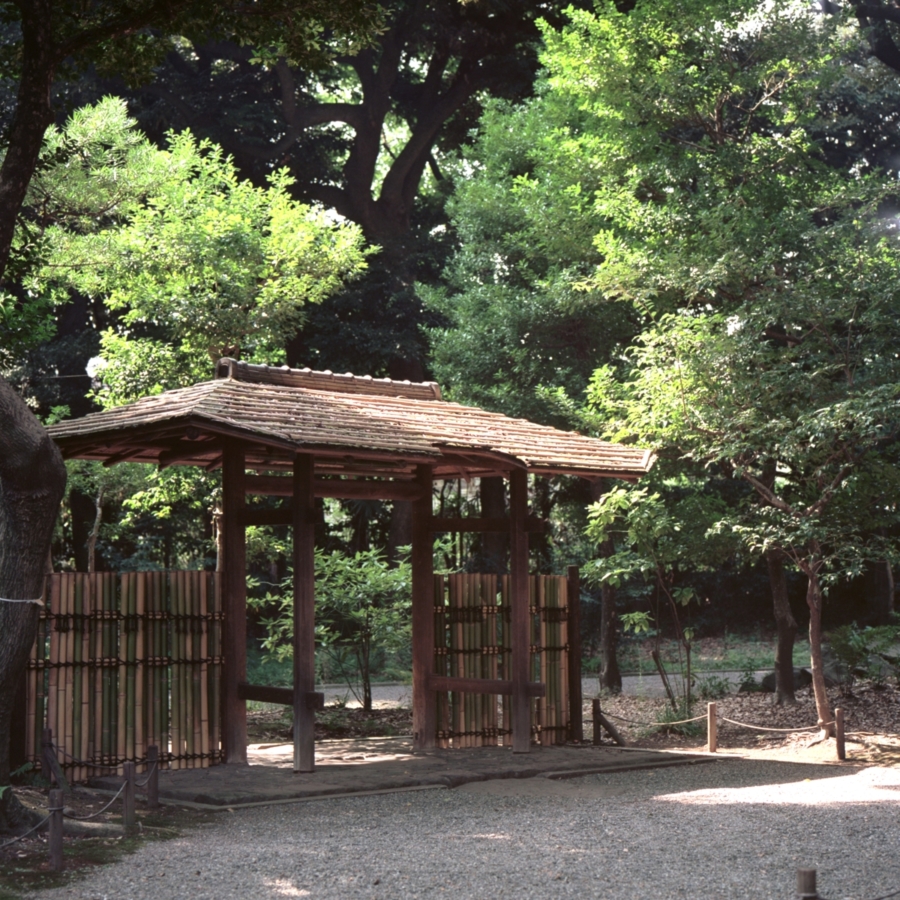 旧古河庭園 日本庭園 兜門