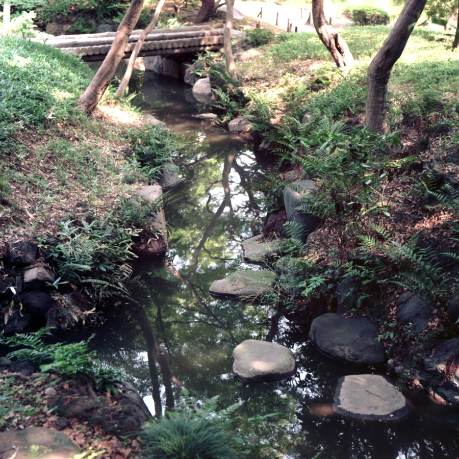 旧古河庭園 日本庭園 渓谷