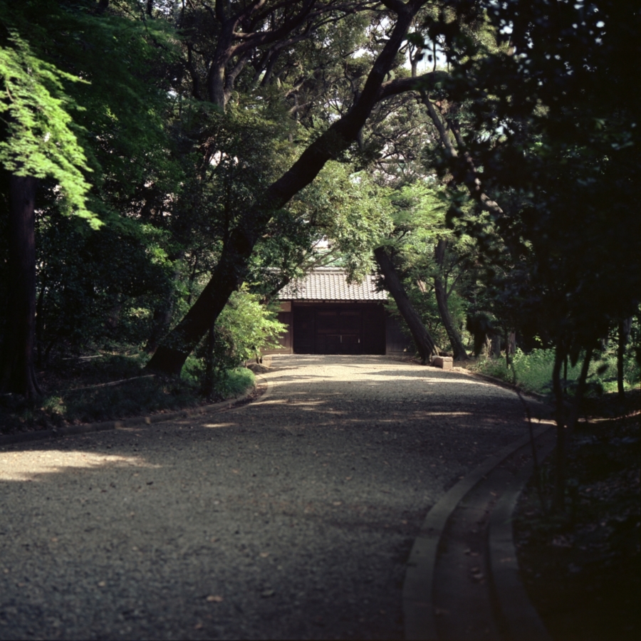 旧古河庭園 日本庭園 馬車道