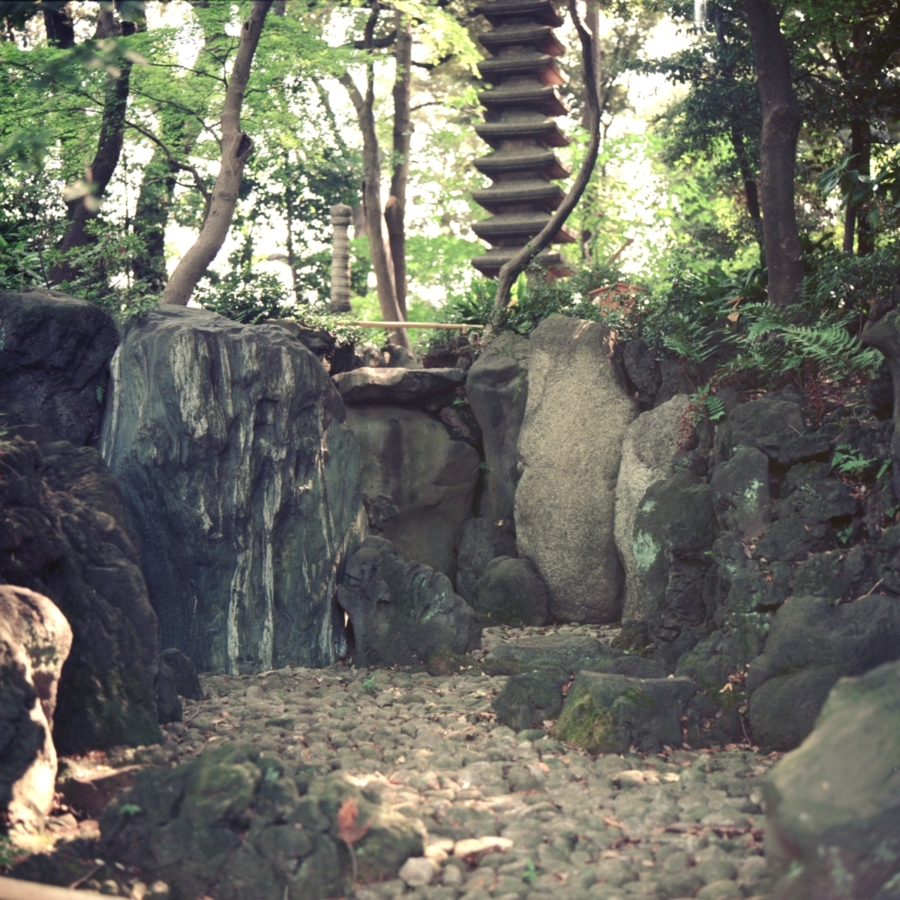 旧古河庭園 日本庭園 枯滝