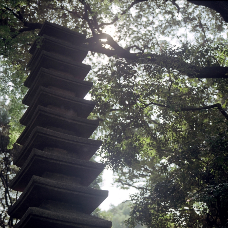 旧古河庭園 日本庭園 濡鷲灯篭