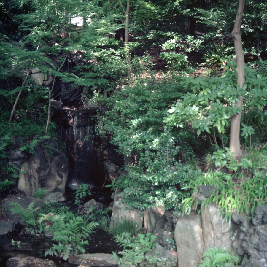 旧古河庭園 日本庭園 大滝
