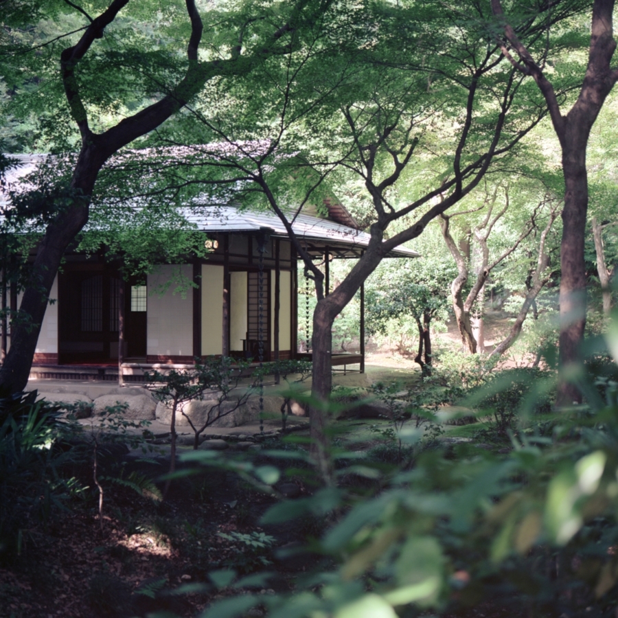 旧古河庭園 日本庭園 茶室