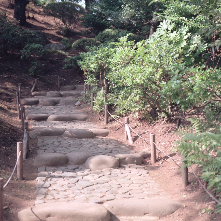 旧古河庭園 石畳の階段