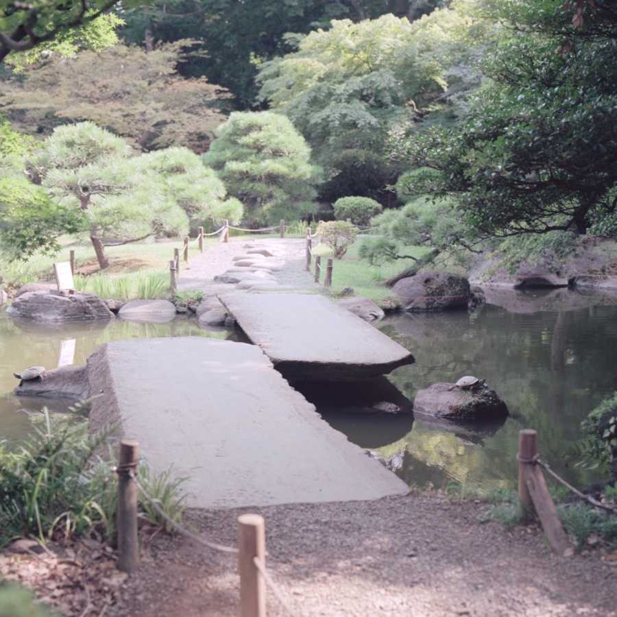 旧古河庭園 日本庭園 心字池の橋