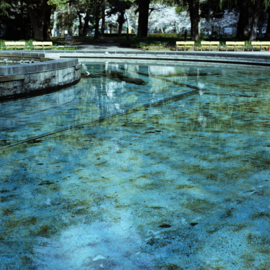日比谷公園 「大噴水」のある池