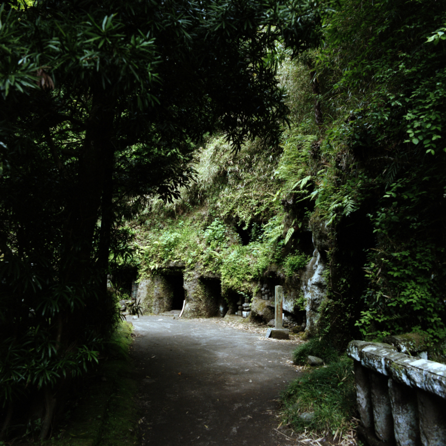 寿福寺の裏山