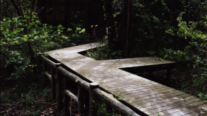 狭山公園 宅部池 デッキ